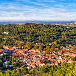 INVITALIA: “Bando imprese borghi” (2244_BIB)